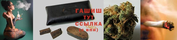 apvp Бородино
