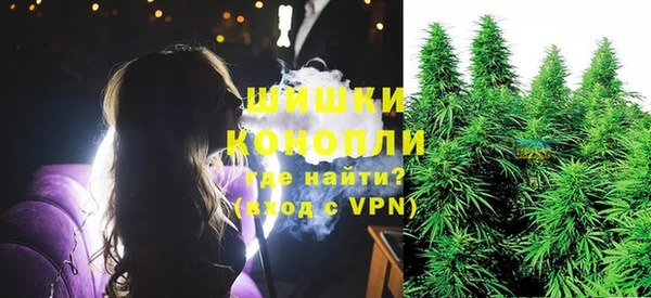 apvp Бородино