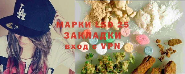 apvp Бородино