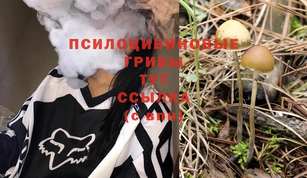apvp Бородино